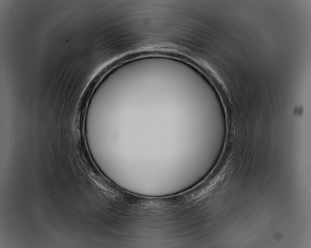 X0000100920830200806241111