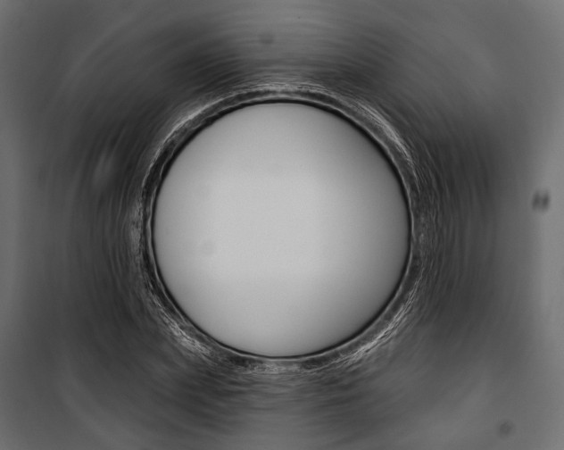 X0000100920831200806241111