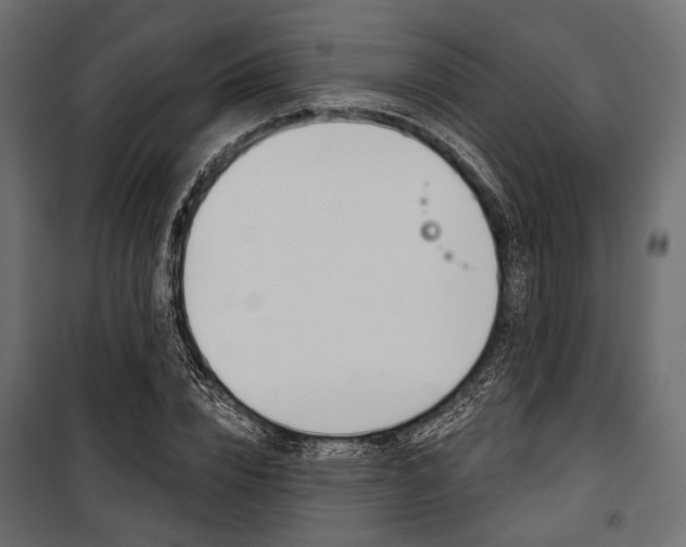 X0000100920832200806241111