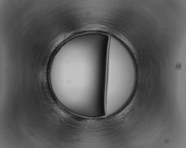 X0000100920834200806241111