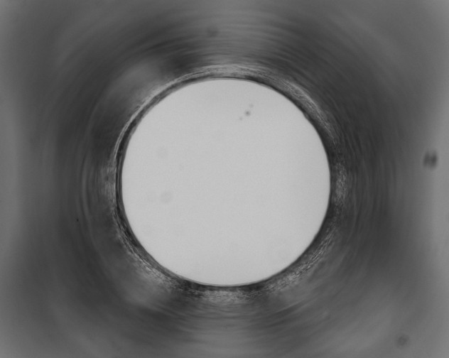 X0000100920836200806241111