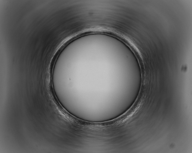 X0000100920837200806241111