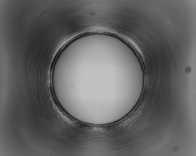 X0000100920839200806241111