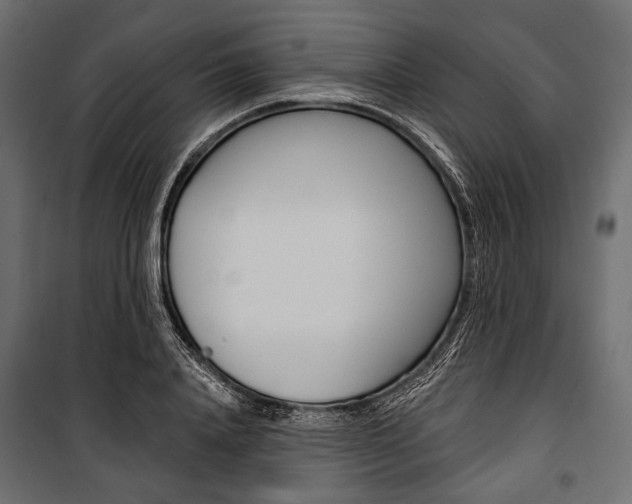 X0000100920840200806241111