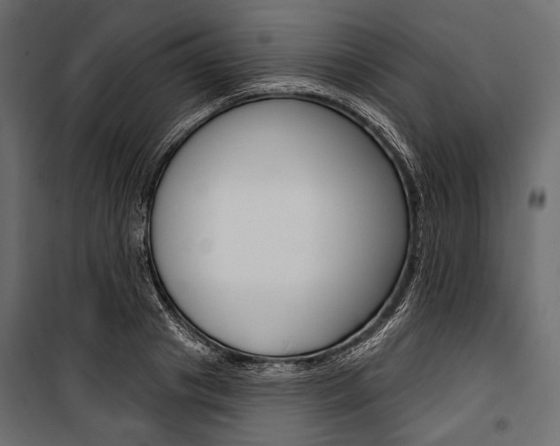 X0000100920841200806241111