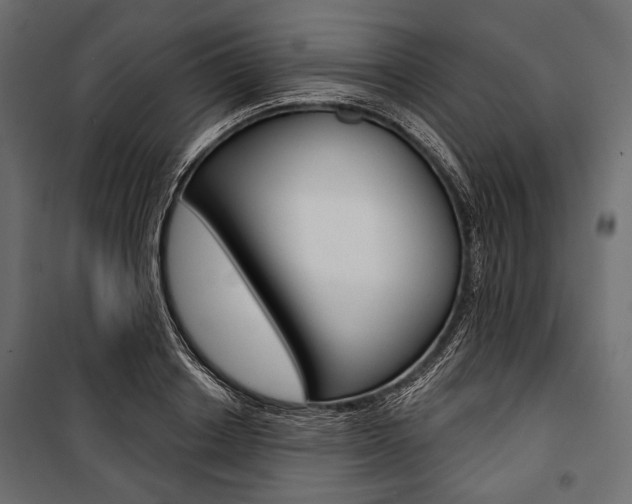 X0000100920842200806241111