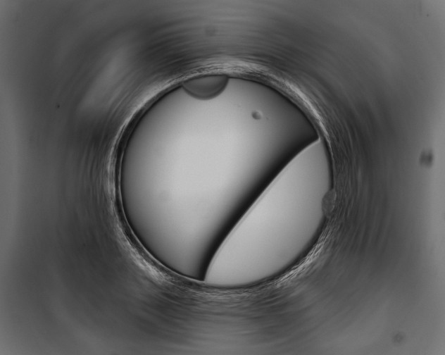 X0000100920843200806241111