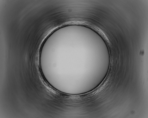 X0000100920844200806241111
