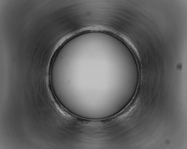 X0000100920845200806241111
