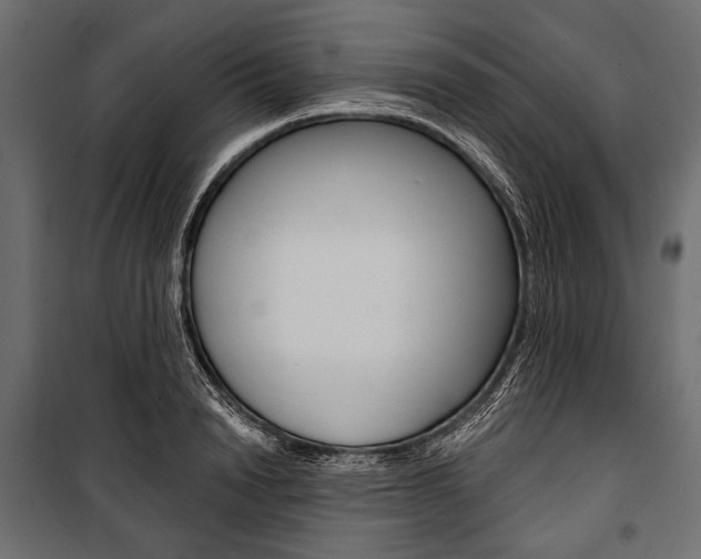 X0000100920846200806241111