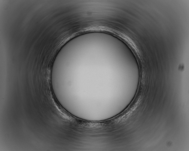 X0000100920849200806241111