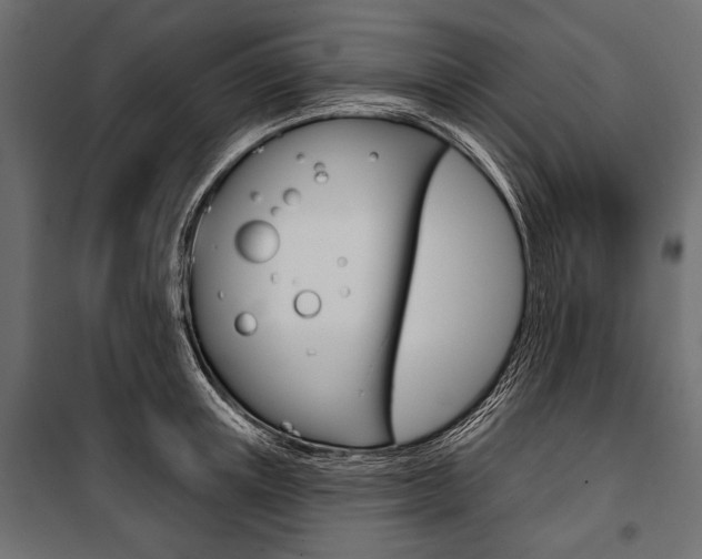 X0000100920851200806241111