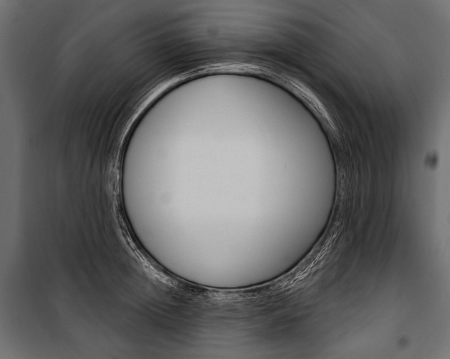 X0000100920852200806241111