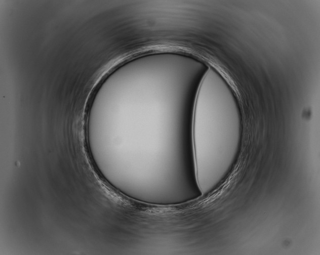 X0000100920853200806241111
