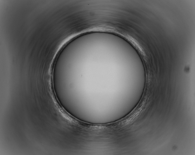 X0000100920854200806241111