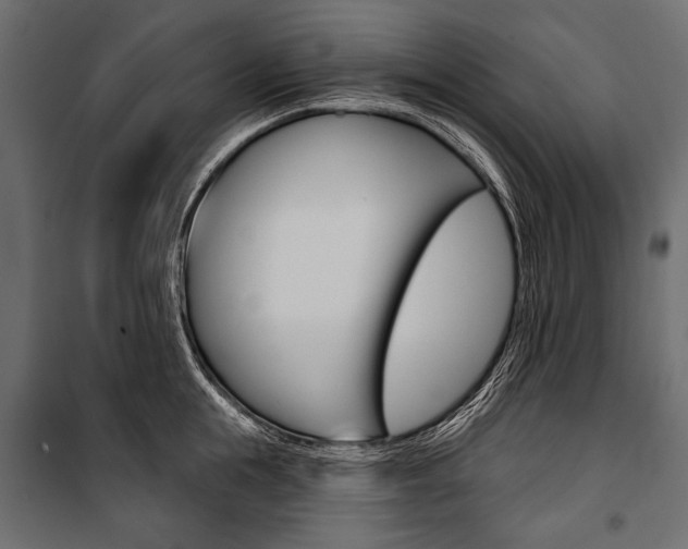 X0000100920855200806241111
