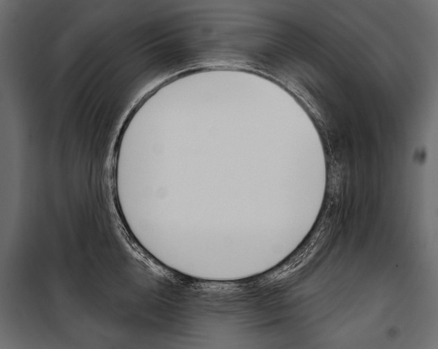 X0000100920856200806241111