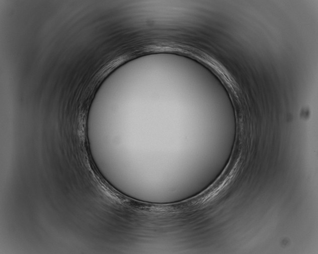 X0000100920857200806241111