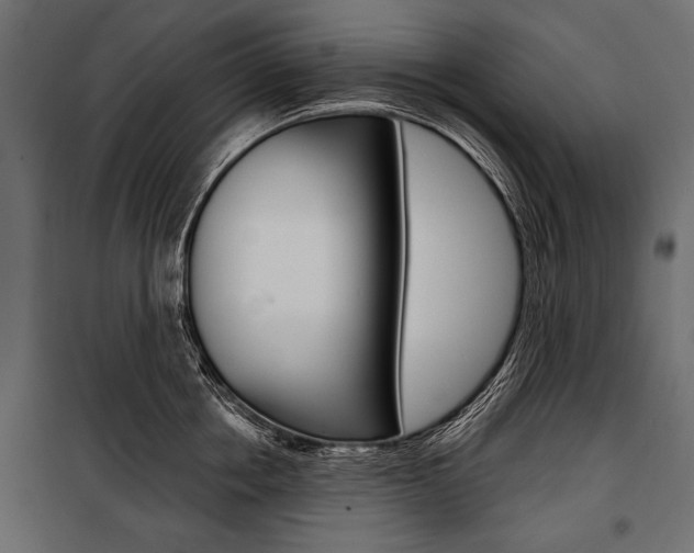 X0000100920858200806241111