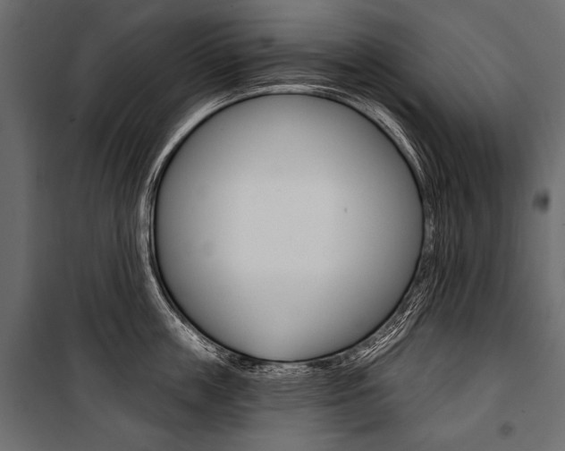 X0000100920859200806241111
