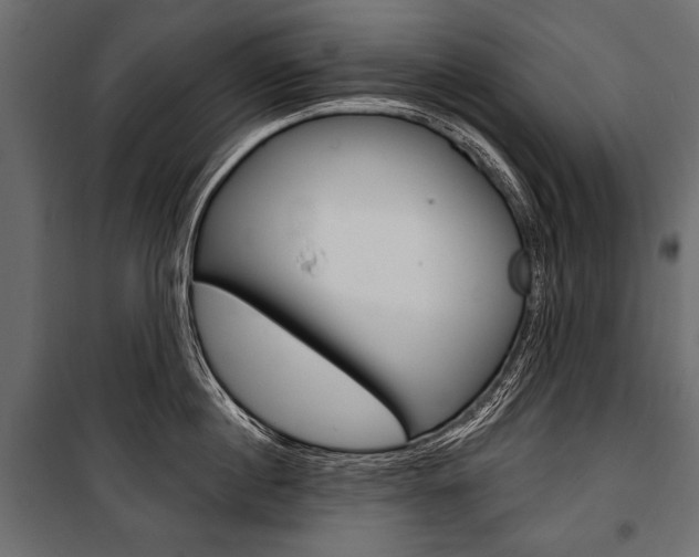 X0000100920860200806241111