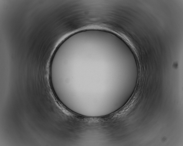 X0000100920862200806241111