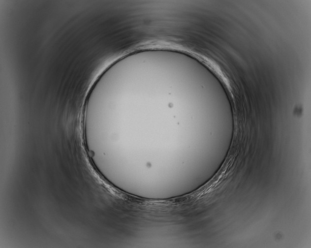 X0000100920863200806241111