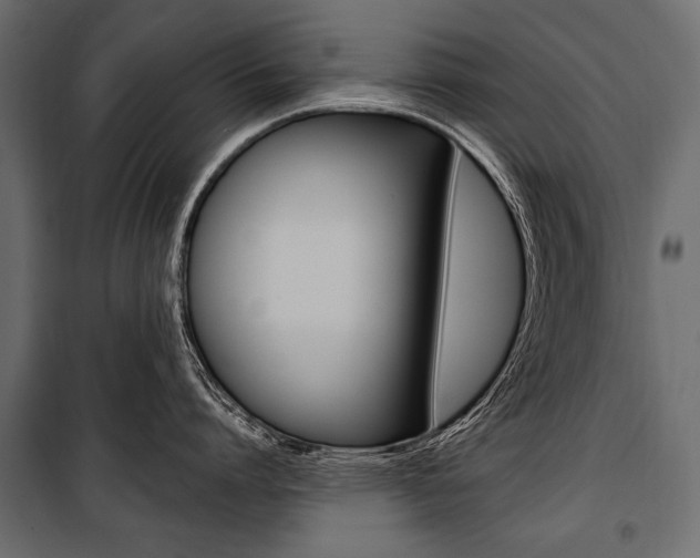 X0000100920864200806241111