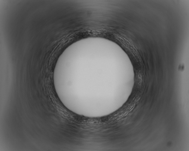 X0000100920865200806241111