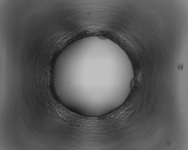 X0000100920868200806241111