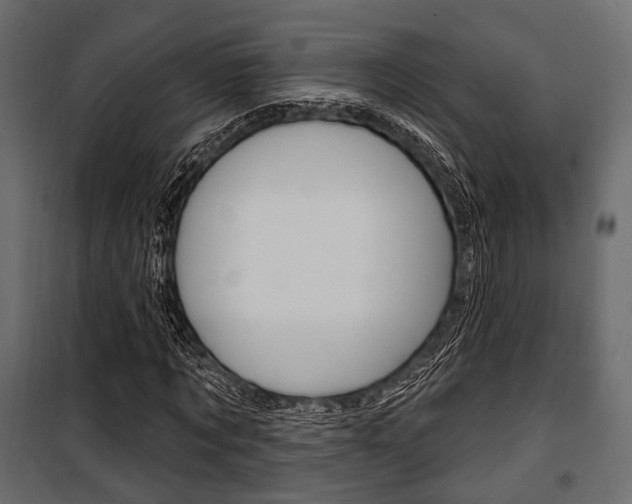 X0000100920869200806241111
