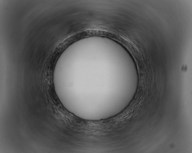 X0000100920870200806241111