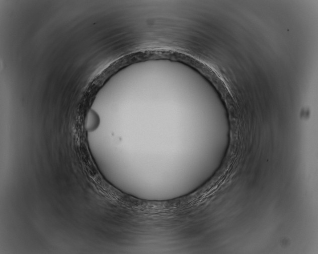 X0000100920871200806241111