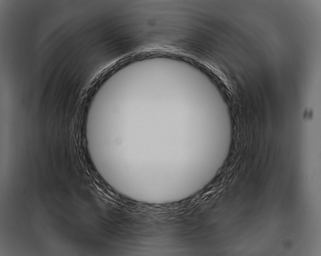 X0000100920872200806241111