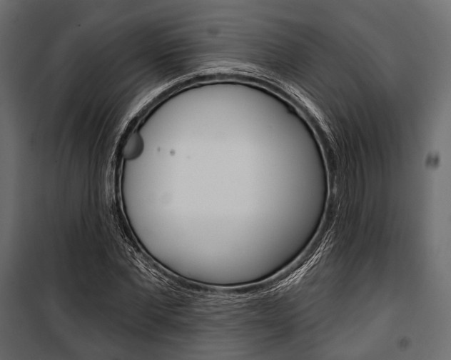 X0000100920877200806241111