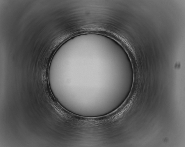 X0000100920881200806241111