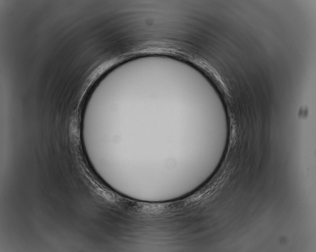 X0000100920882200806241110