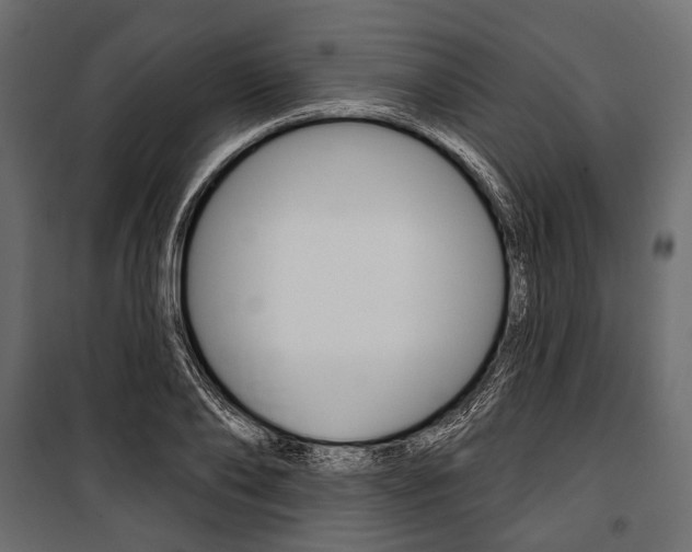 X0000100920886200806241110