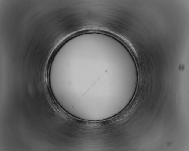 X0000100920887200806241110