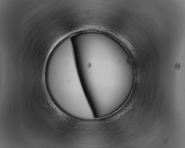 X0000100920888200806241110