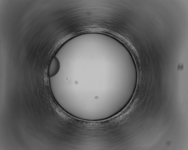 X0000100920889200806241110