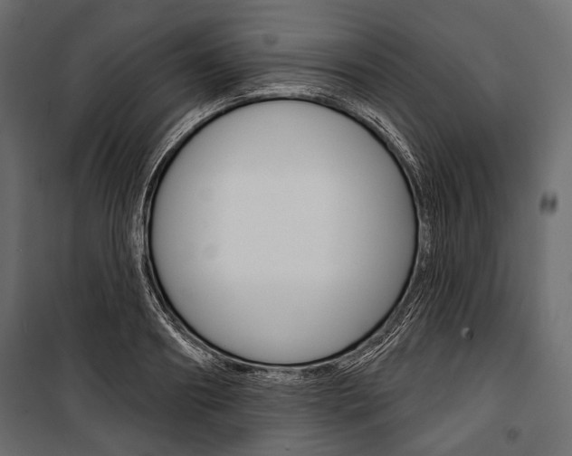 X0000100920890200806241110