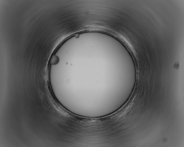 X0000100920891200806241110