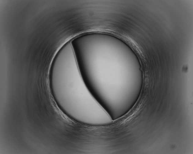 X0000100920892200806241110