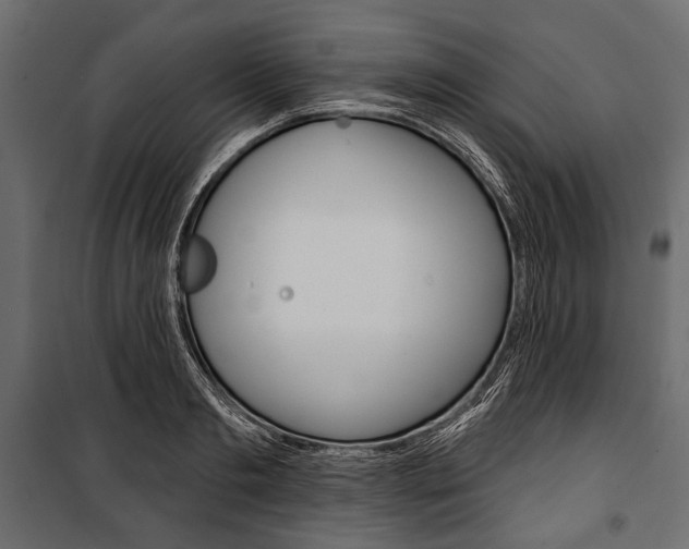 X0000100920893200806241110