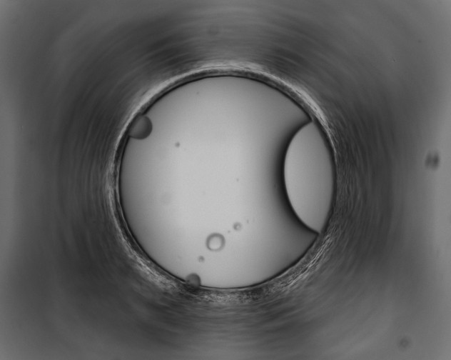 X0000100920895200806241110