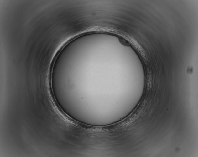 X0000100920896200806241110