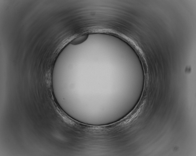 X0000100920897200806241110