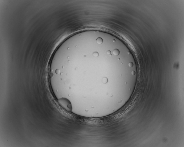 X0000100920899200806241110