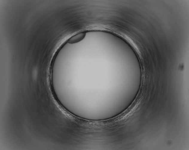 X0000100920901200806241110